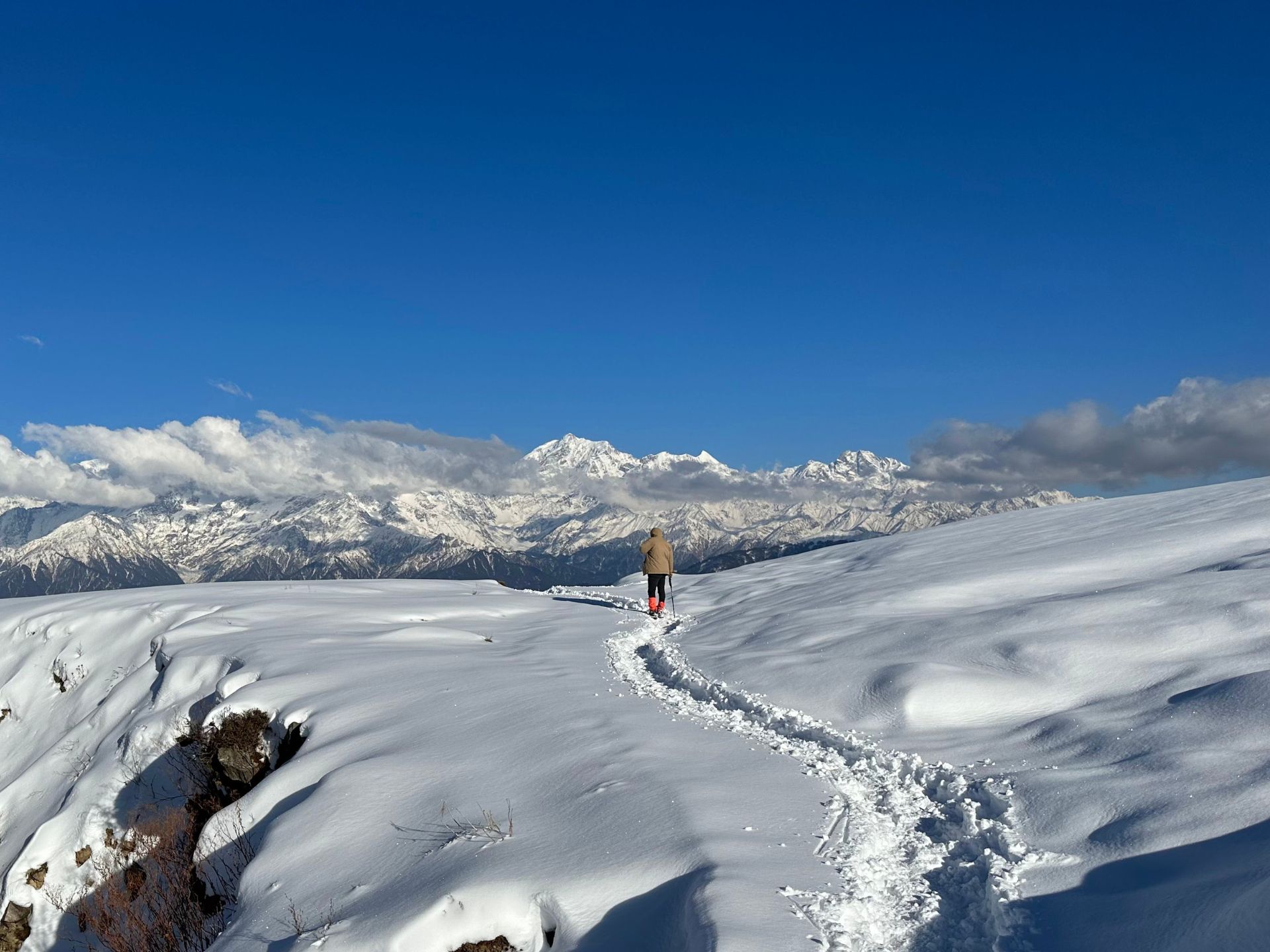 Chopta Tour Pacakage
