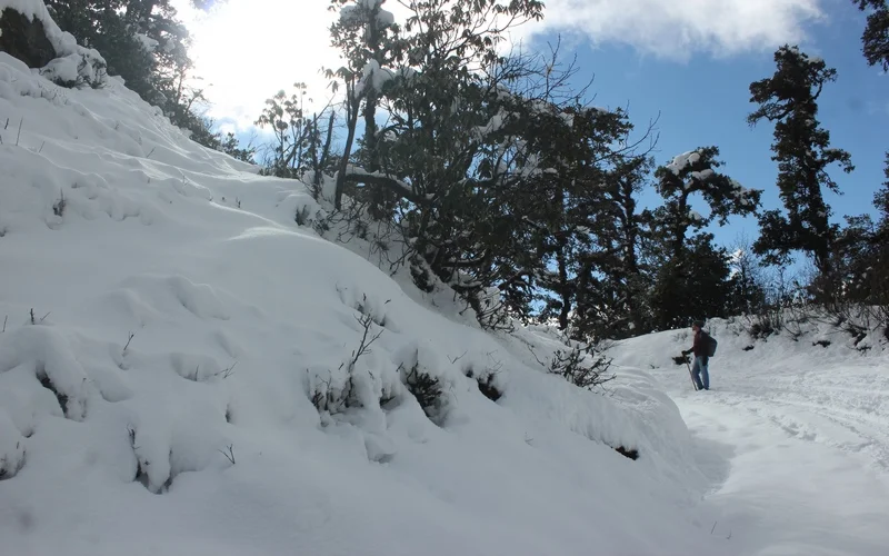 Chopta Tour Pacakage