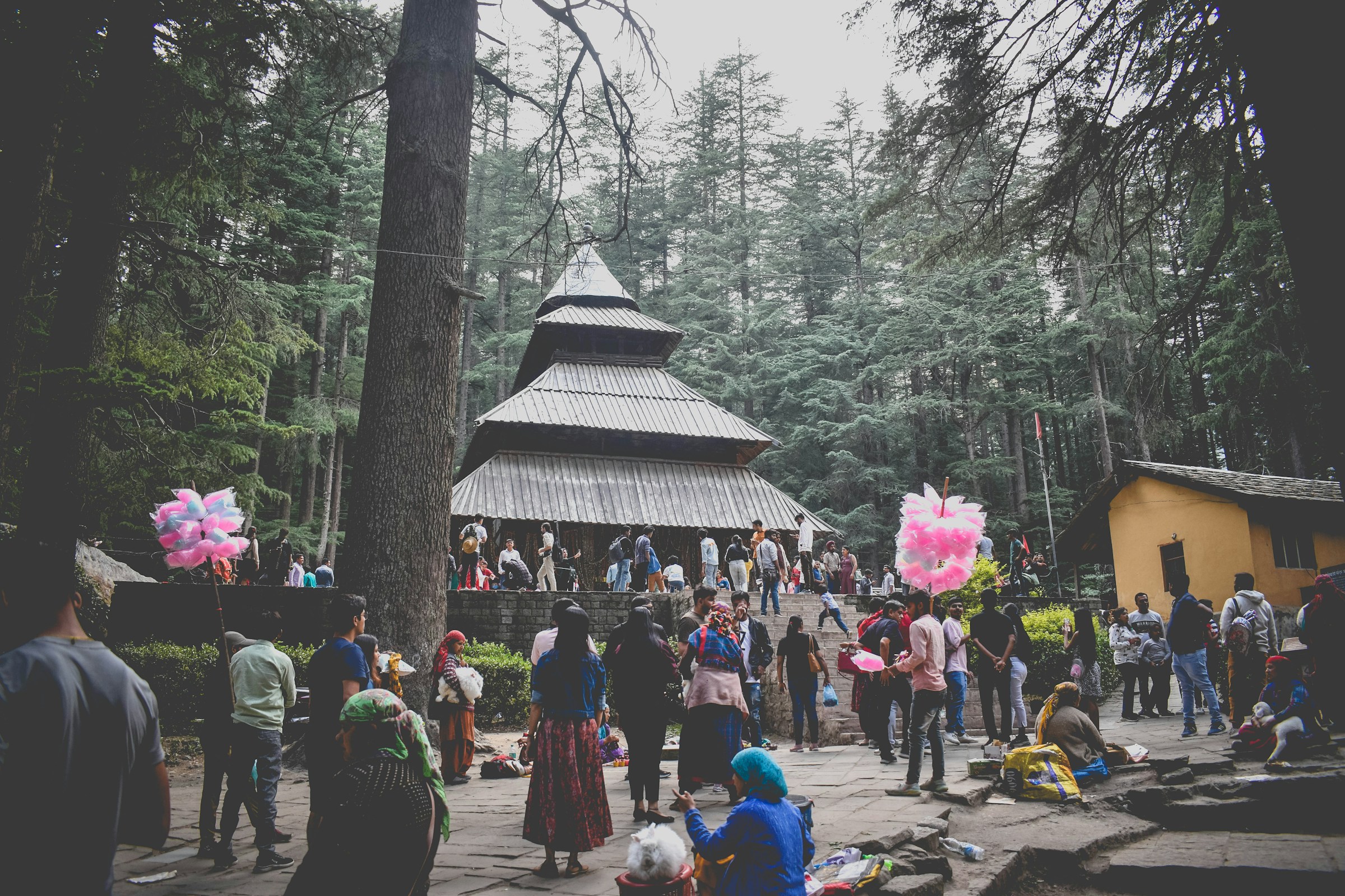 manali package