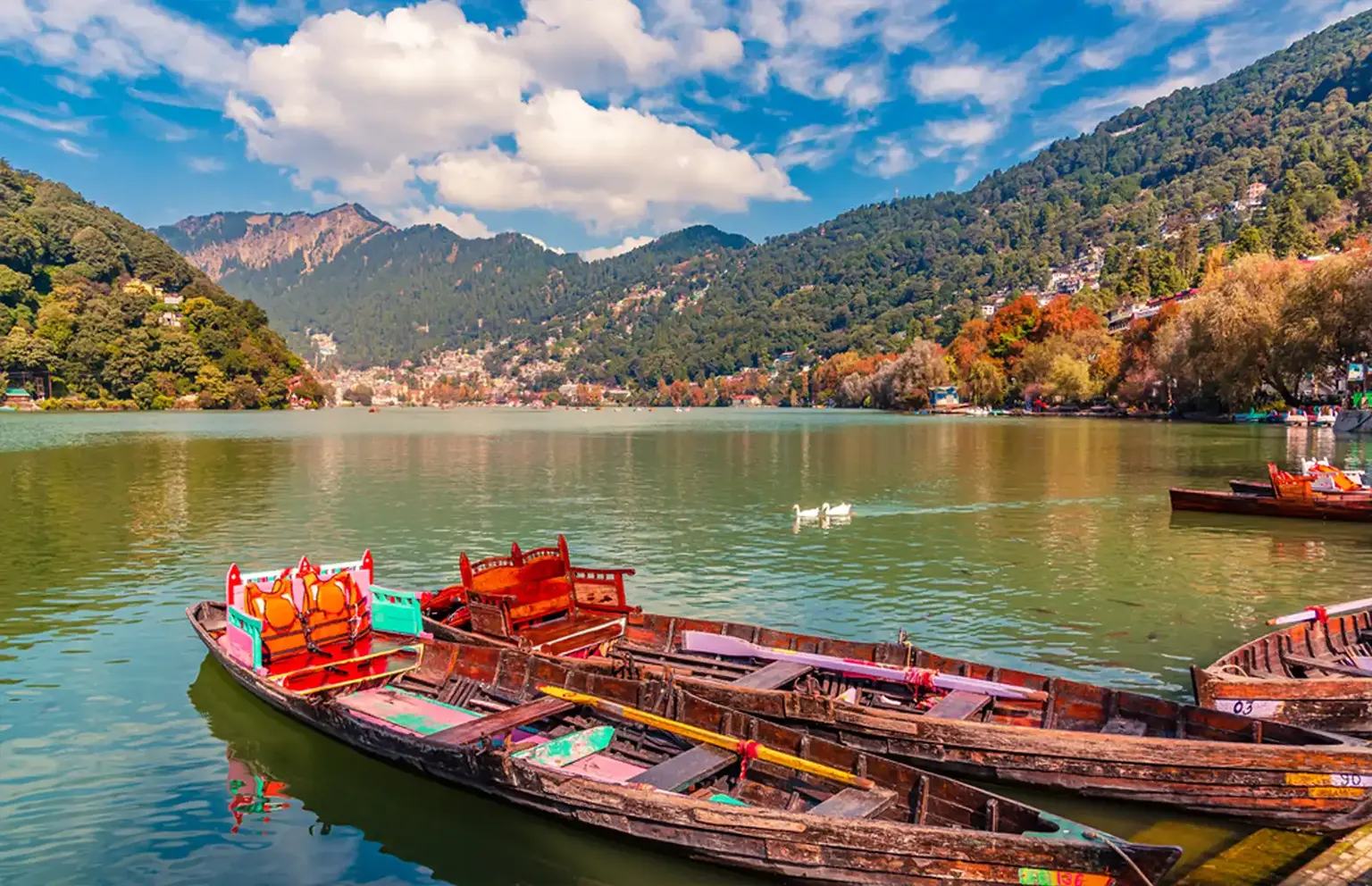 nanital Packages